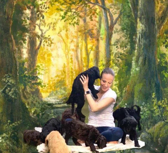 Ashlee Bassett with puppies - Petoskey Goldendoodles